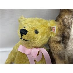 Seven modern Steiff teddy bears comprising two limited edition '1908 Paul the Growler' bears Nos.1124/3000 and 1310/3000; 028649 Classic Teddybear 23; 005992 Classic Teddybear 28 (black); 071249 Mungo Meerkat 30; 079139 Reclining dog for American Kennel Club; and 029561 Petsy gespitzt (1928) 16cm; together with a Mrs. McCatty's limited edition 2156 Sophie bear No.1557/1750; all unboxed but most with labels (8)