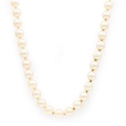 Single strand cultured pearl necklace, with 18ct gold pave set diamond clasp, Sheffield im...