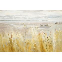 Iola Spafford (British 1930-): 'Edge of the Shore', oil on board signed, titled on Lane Gallery label verso 44cm x 64cm