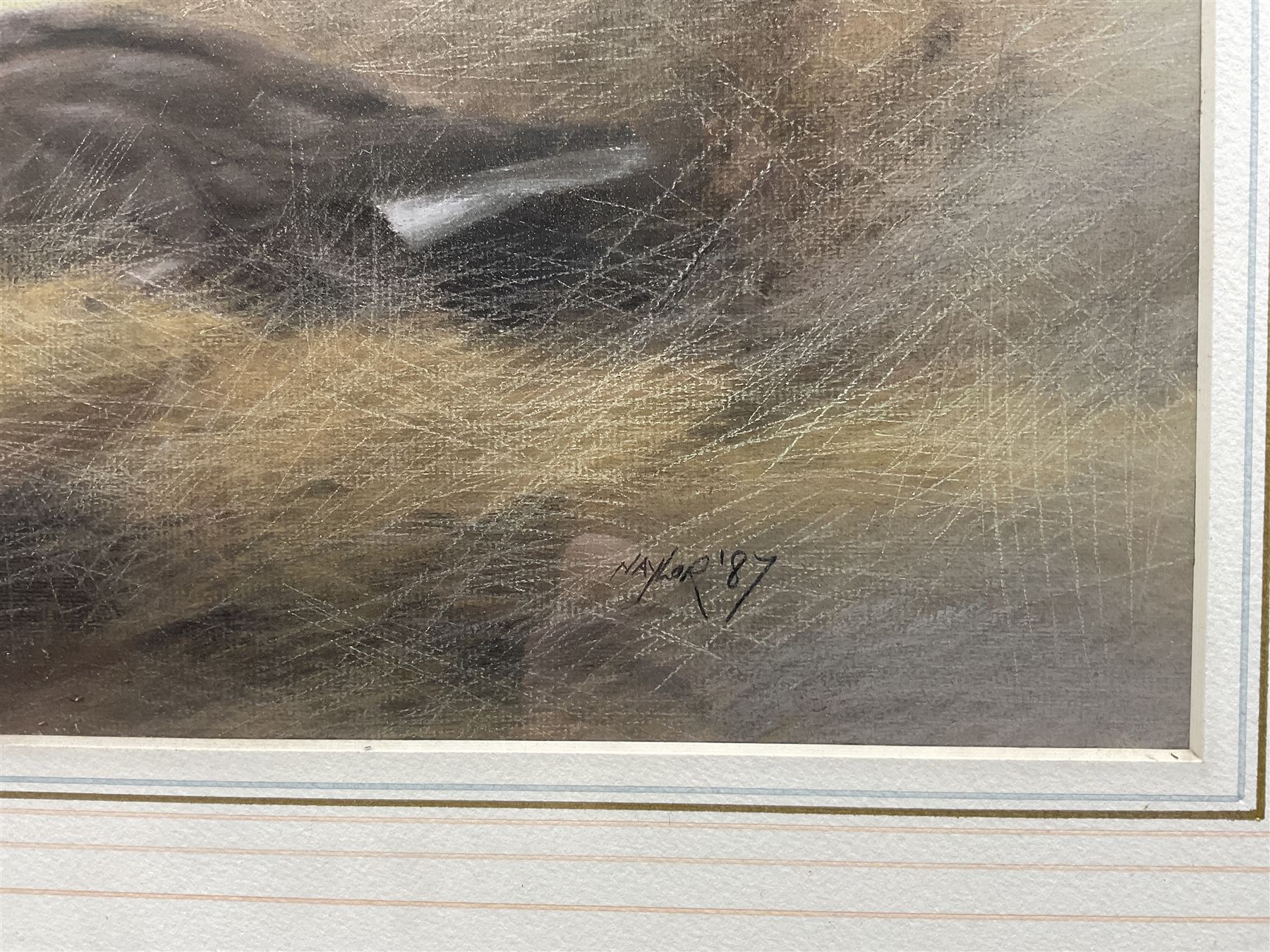 John Naylor (British 1960-): Two Ducks, pastel signed and dated '87, 26cm x 43cm 