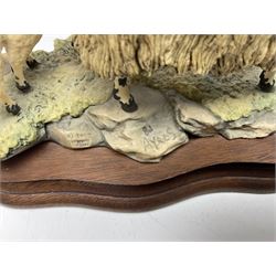 Two Border Fine Arts figure groups, comprising Black faced Ewe & Border Collie no B104 by Ray Ayres and To The Tup Sale, no JH72 limited edition 383/1850, both on wooden base, one with certificate