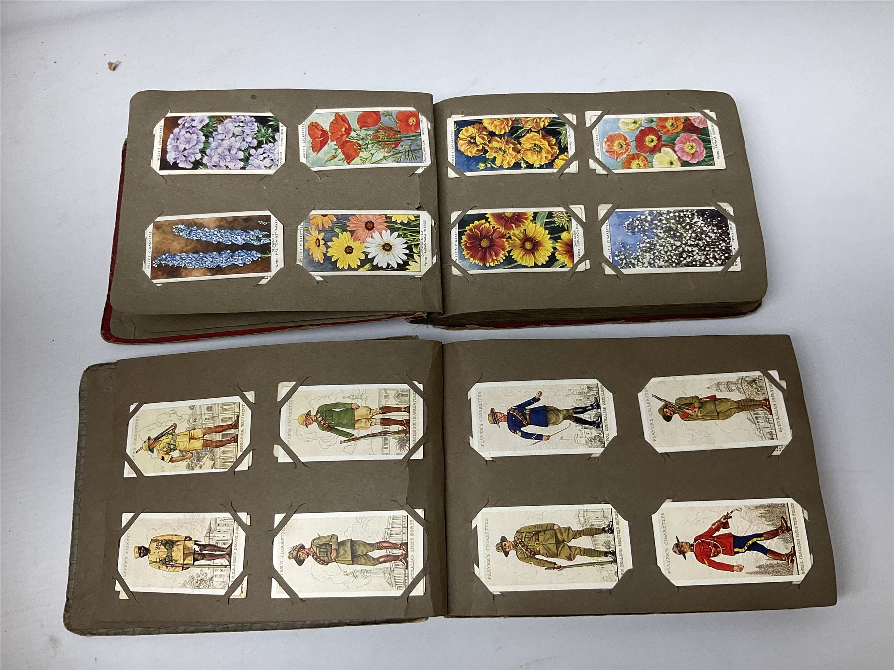 Quantity of cigarette and trade cards, housed in albums and loose, by W.D. & H.O. Wills, John Player & Sons etc, including cycling, garden hints, Britain's railways, dogs etc and various empty vintage cigarette card albums, in two boxes