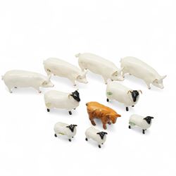 Beswick Highland calf 1827d, three large white sows Ch Wall Queen 40th 1452a, white boar C...
