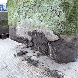 Large 18th century rectangular stone trough