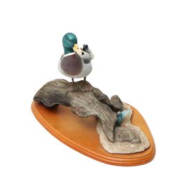 Four various duck ornaments, including a Langham glass duck, Border Fine Arts Mallard, and two others (4)