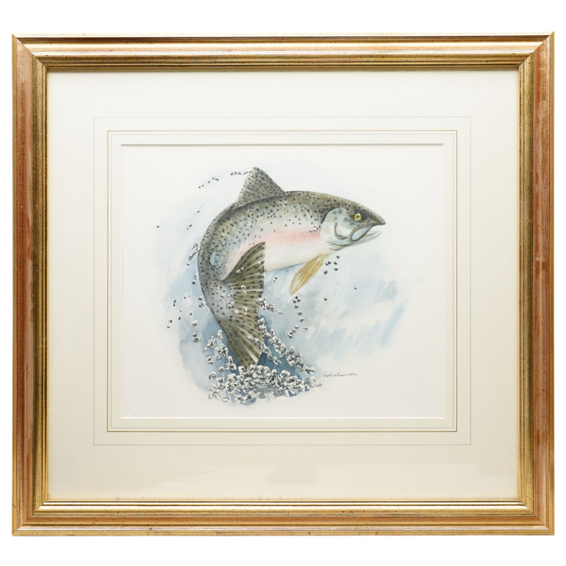 Daphne Harrison (Northern British Contemporary): Brown Trout and Rainbow Trout, pair watercolours signed 31cm x 37cm (2)