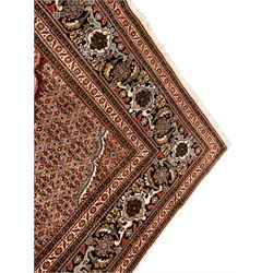 Persian Bidjar peach ground rug, the field decorated with repeating Herati motifs, darker ground outlined pole medallion, the field border decorated with repeating plant motifs, multiple floral design guard bands