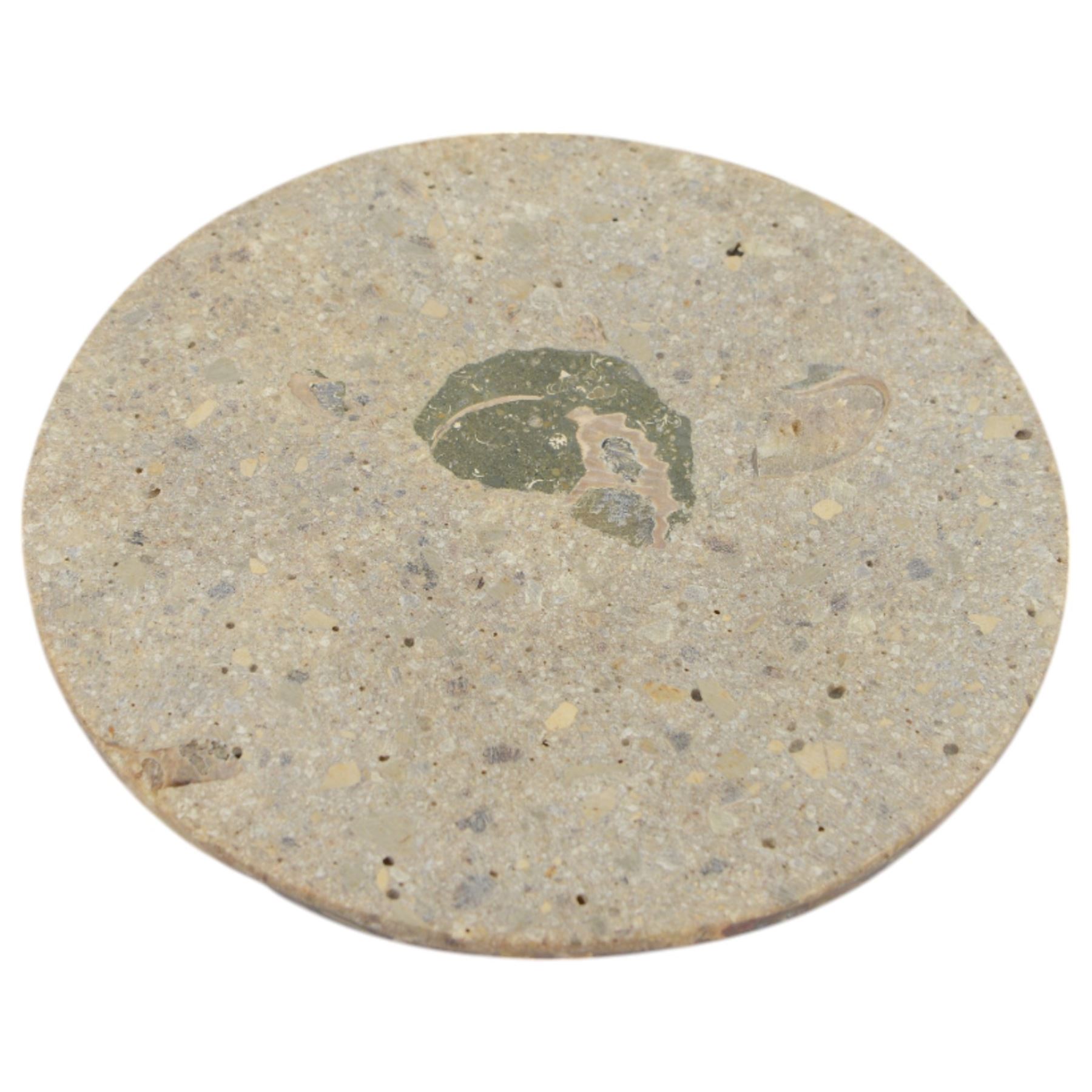 Pair of polished ammonite plate, formed of individual ammonites age; Jurassic period, D17cm