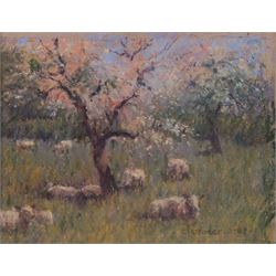George Frederick Cutter (British 1940-): Sheep Resting in Tall Grass, pastel signed 17.5cm x 22.5cm; English School (19th century): Waves Breaking on a Rocky Coastline, impasto oil on board indistinctly signed max 19.5cm x 28cm