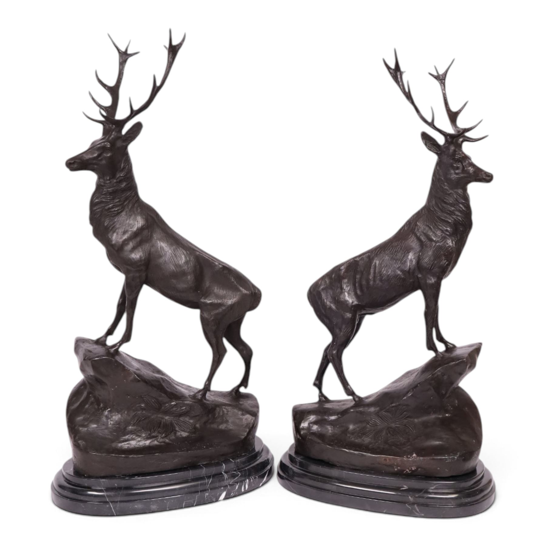 After Jules Moigniez (French 1835-1894): Pair of bronze stag figures on marble bases, each modelled alert standing on moulded rocky plinth on shaped marble bases, H74cm