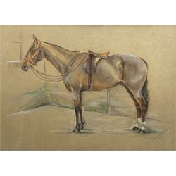 C Joane Bastard (20th century): Horse Portrait, pastel signed and dated 1931, 30cm x 42cm