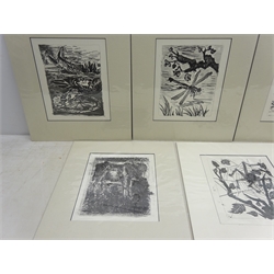  After Pablo Picasso (Spanish 1881-1973): Animals and Insects, five  lithographs from Buffon Histoire Naturelle, pub. Edito-Service Geneve c1960, 28cm x 23cm (mounted) (5)  