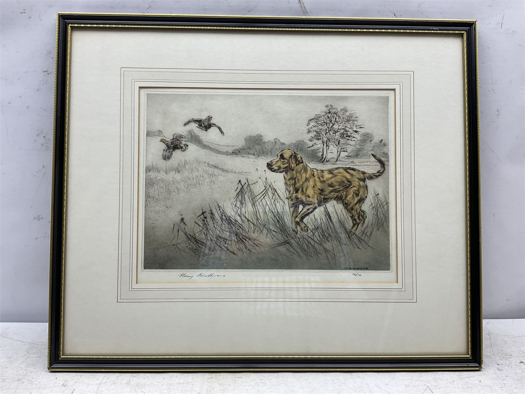 Henry Wilkinson (British 1921-2011): 'Yellow Labrador', coloured drypoint etching signed and numbered 54/150 in pencil 25cm x 34cm
