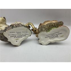 Ten Franklin Mint National wildlife Foundation Big Cats of the World figures to include, White Bengal Tiger, Jaguar, Cougar, Cheetah, Clouded Leopard etc, with display stand