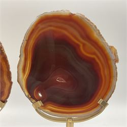 Pair of red agate slices, polished with rough edges raised upon gilt metal stands, H23cm