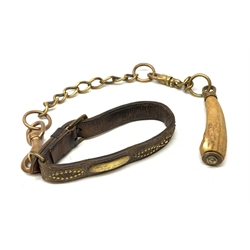 A 19th century leather and brass studded dog collar with brass plaque for Mick, Lancs Hussars 4th Troop, on bronze chain with antler handle 