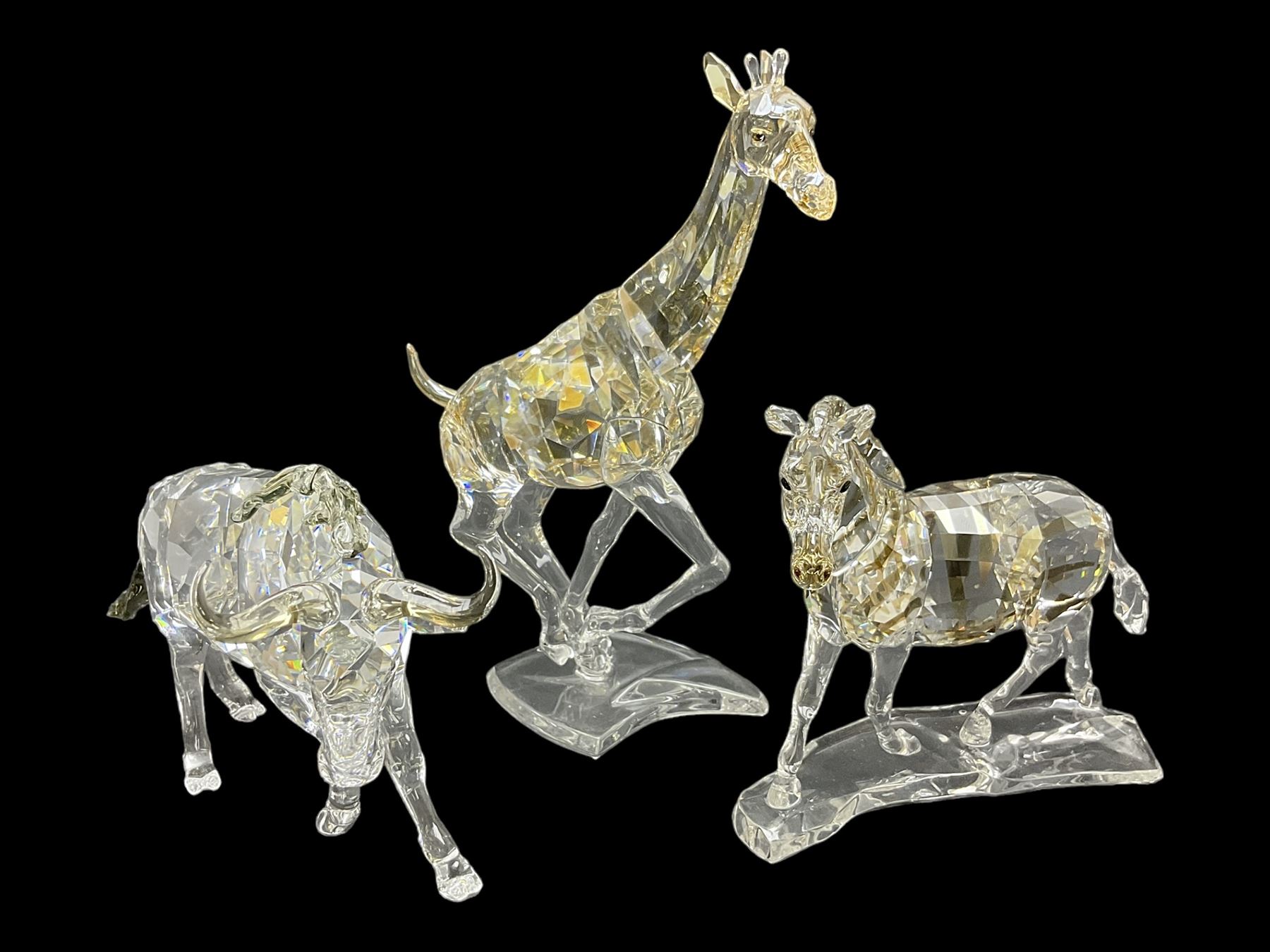 Swarovski Crsytal Society coloured animals, comprising zebra, giraffe and water buffalo, tallest H17.5cm