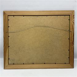 Framed display of thirty-four WWII German cloth badges including Luftwaffe pilot, Paratrooper, Afrikakorps cuff title, sleeve insignia for 'SS' Foreign Volunteers, various breast eagles including Luftwaffe, Army etc, RAD badges, Party Armband, rank and trade insignia, cap insignia etc; 40 x 50cm in modern pine frame