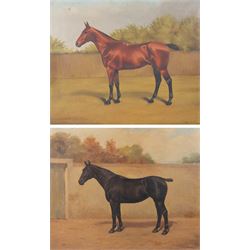 Charles F Davis (British 19th/20th Century): Horse Portraits, pair oils on canvas signed a...