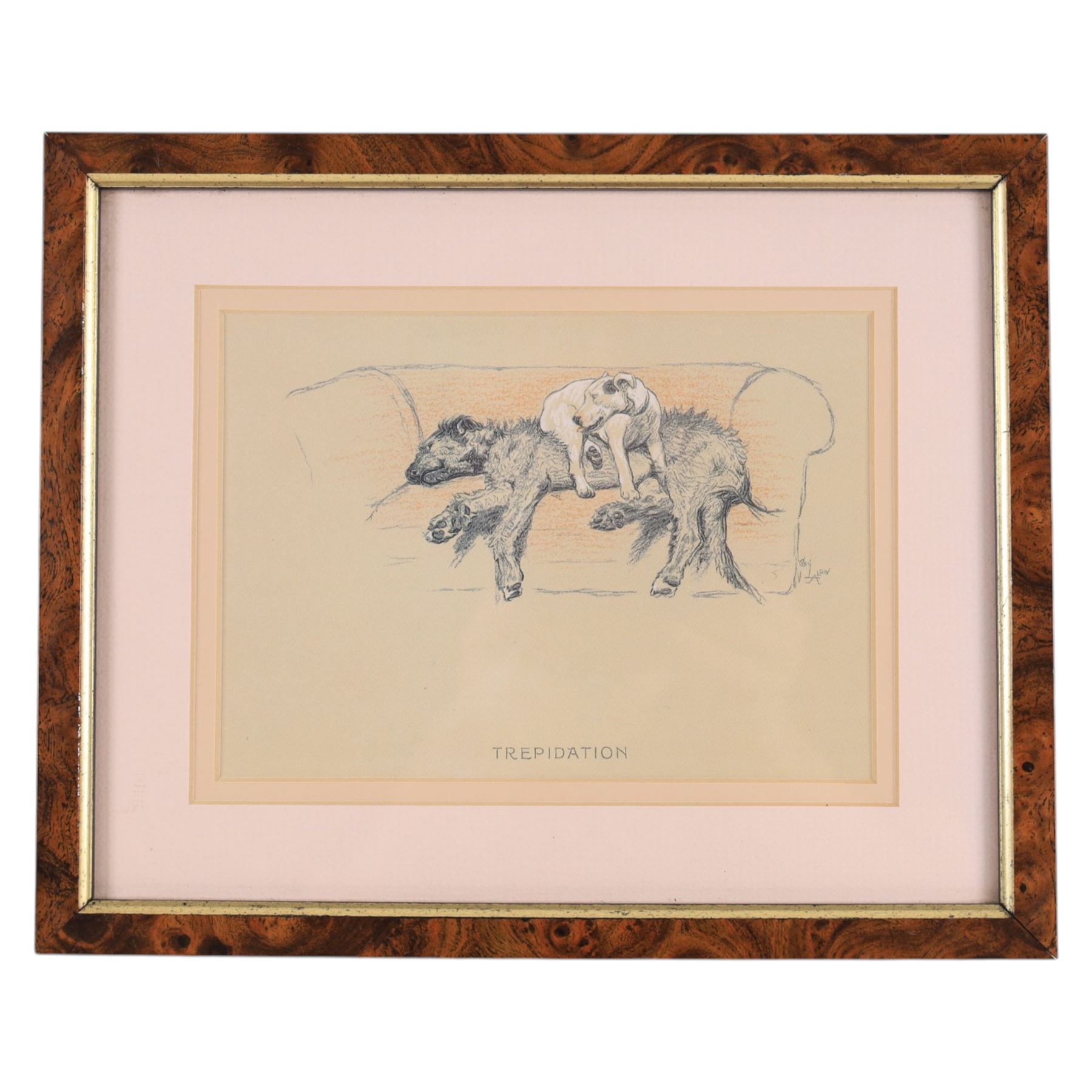 Continental School (Early 20th century): Portrait of a Young Man, watercolour and pencil unsigned 50cm x 30cm; After Cecil Aldin (British 1870-1935): 'Trepidation' 'Resignation' & 'Toleration', set of three book plate prints 12.5cm x 18cm (4)