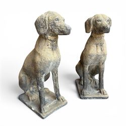 Pair of cast stone hunting pointer dogs in seated poses raised on rectangular bases, in an...