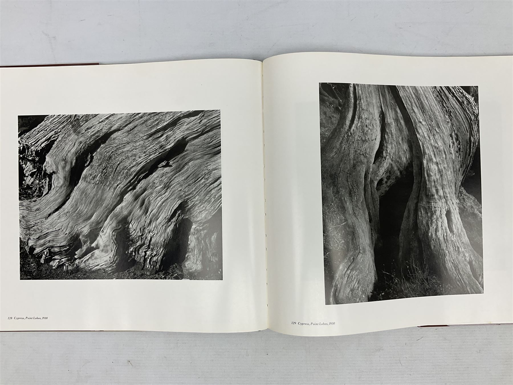 Seven photography reference books, to include Edward Weston, Paul Strand, Alfred Stieglitz, Sam Haskins etc 