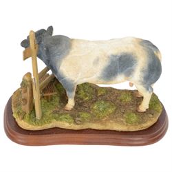 Two Border Fine Arts bull figures, comprising Belgian Blue Bull No A8953 and Limousin Bull No A9788