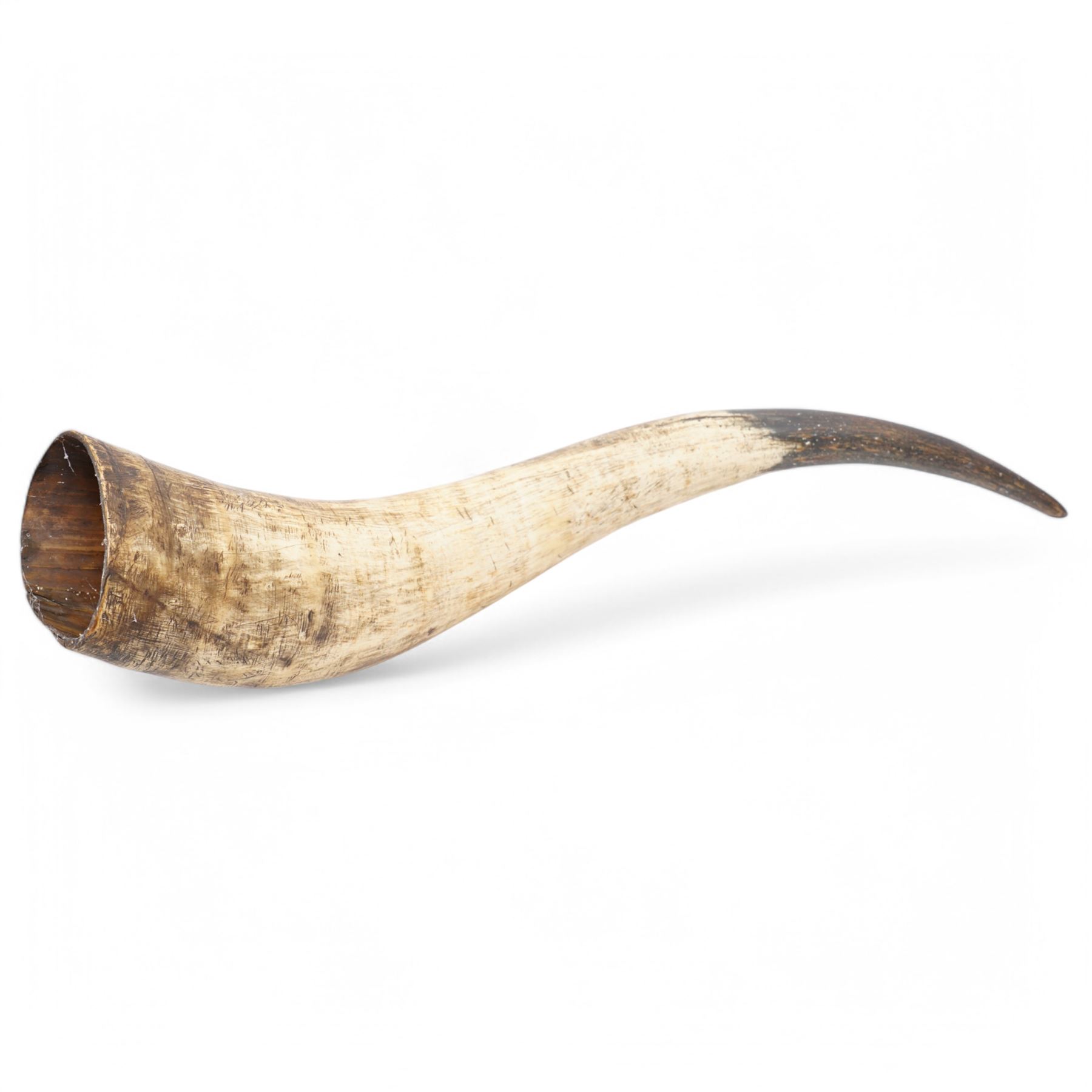 Large cow horn L74cm, kitchen scales and weights and two brass bowls