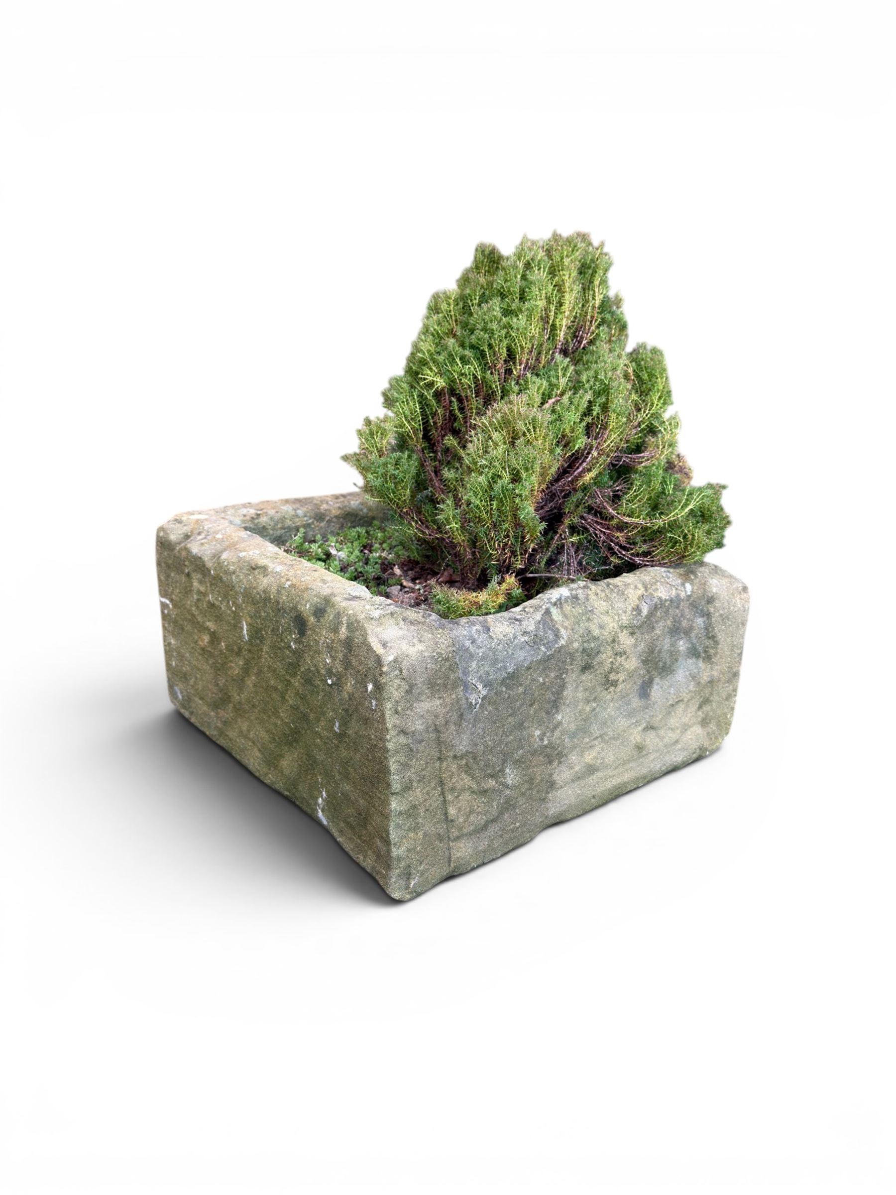 19th century hewn stone planter of square form, planted 