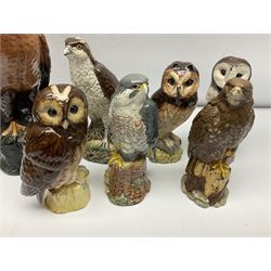 Collection of Beswick and Royal Doulton whisky decanters, in the form of birds, to include Golden Eagle, Barn Owl, Peregrine Falcon, Buzzard etc 