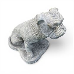 Pair of cast stone garden bulldogs with studded collars