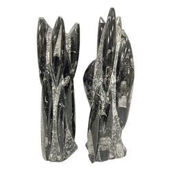 Pair of Orthoceras fossil towers, age: Devonian period, location: Morocco, larger tower, H32cm