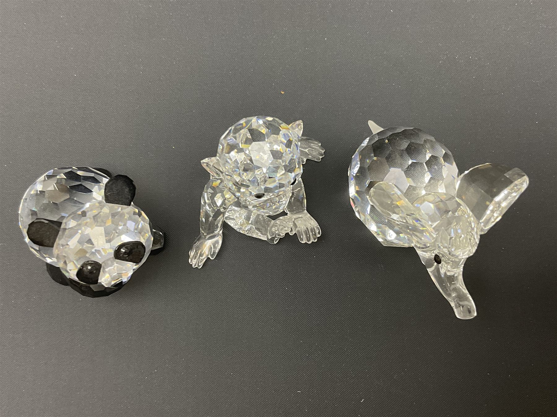 Twenty nine Swarovski Crystal animals, to include koala and baby, in frosted tree branch, elephants, polar bears, squirrel, monkeys, panda, unicorn and snails, etc 