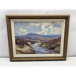 Barry Arthur Peckham (British 1945-): Highland Stream, oil on board signed and dated '94, 29cm x 42cm