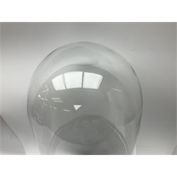 Glass dome upon a circular base, H52cmcm