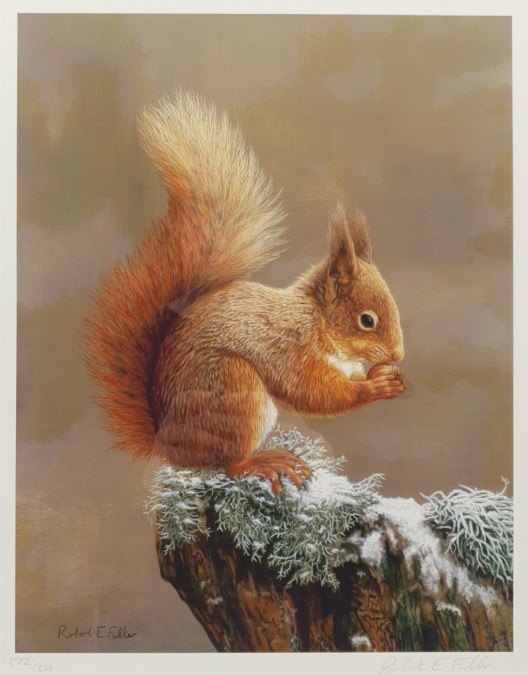 Robert E Fuller (British 1972-): 'Squirrel Nutkin', limited edition colour print signed and numbered 572/850 in pencil 34cm x 27cm; Andrew Hutchinson (British 1961-): Hedgehog, limited edition colour print signed and numbered 476/490 in pencil 22cm x 44cm (2)