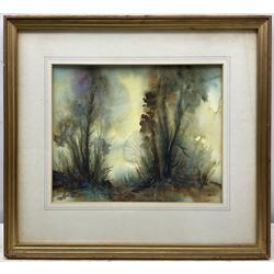 John Whitmore Howey (British 1946-): Lake District Landscapes, pair watercolours signed, dated 1979 verso 22cm x 27cm (2) 
Notes: John is the son of fellow artist Robert Leslie Howey (1900-1981), and grandson of Staithes Group member John William Howey (1873-1938).