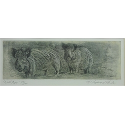  'Wild Boar', limited edition etching No.25/200 signed, titled and numbered in pencil by Martin Hayward-Harris (British 1959-) 13cm x 34cm  