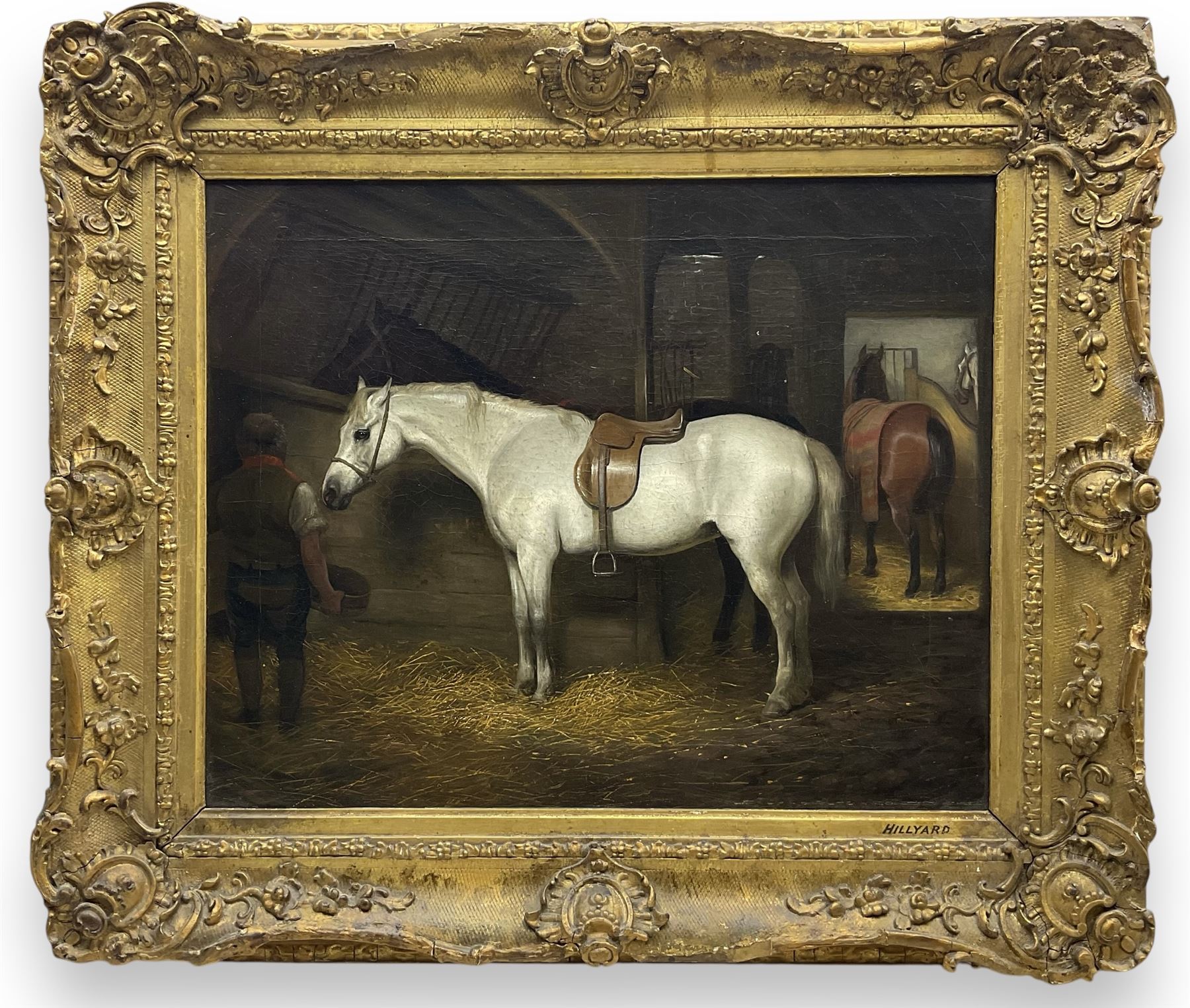 Hillyard (British 19th Century): Grey Hunter in a Stable - Horse Portrait, oil on canvas unsigned, attributed on the mount, in heavily ornamented swept gilt frame, 41cm x 51cm 