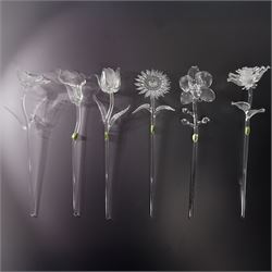 Set of six Waterford Crystal flowers, to include Fleurology Sunflower, Tulip, Lily, Rose, and others not Fleurology comprising Orchid and Calla Lily, in original boxes