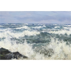  Bruce Mulcahy (British 1955-): 'Rough Sea off Whitby', oil on board signed and dated '06, titled verso with artist's address label 25cm x 35cm  

