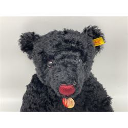 Steiff Classic Teddy Bear in black mohair with working growler mechanism and red stitched detail, H42cm