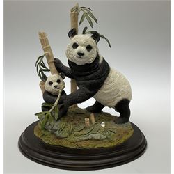 Three Franklin Mint figures, first example On The Prowl, on wooden stand H32cm, L63.5cm, Grizzly, H23cm and American Majesty by Ronald Van Ruyckevelt H37cm, together with five other figures.  