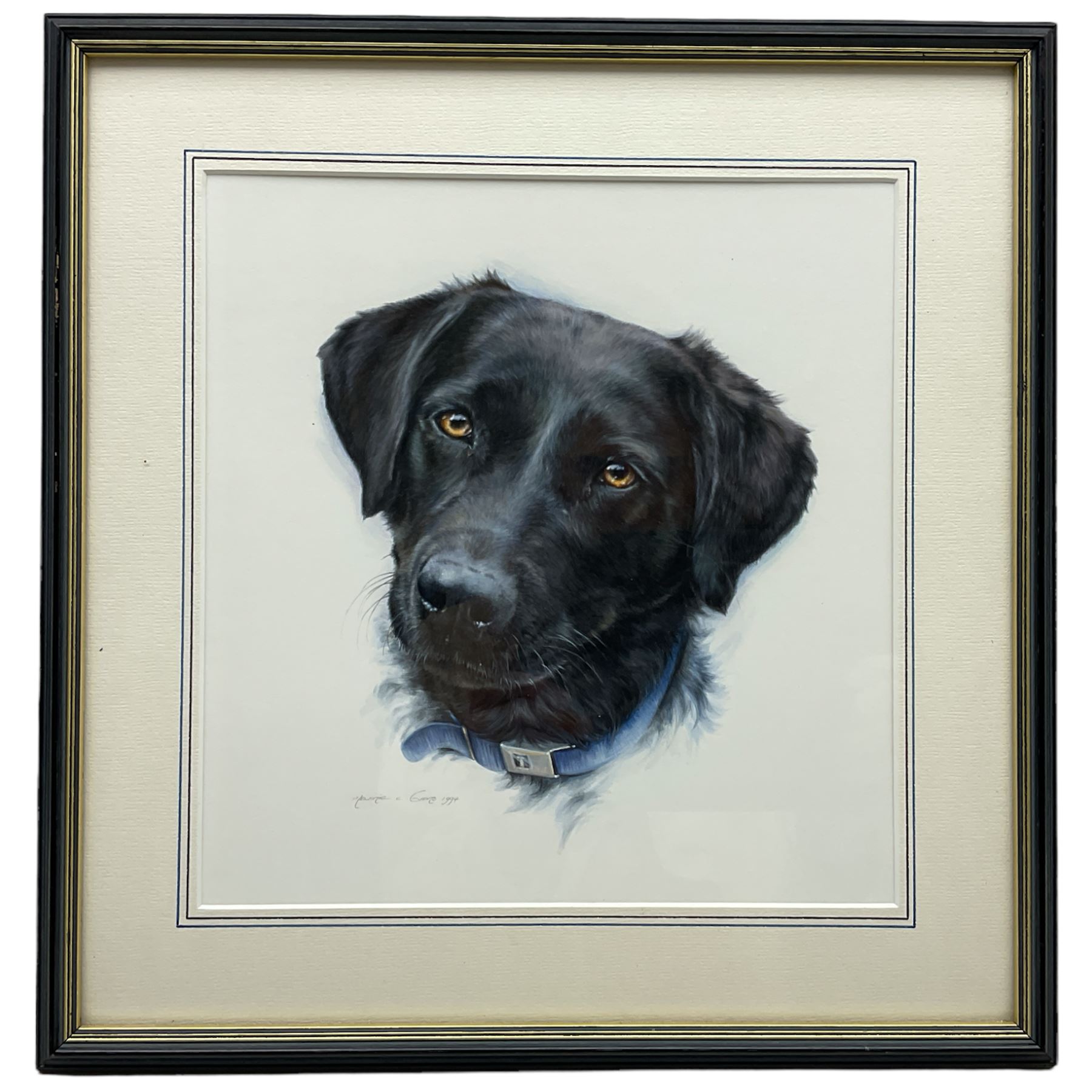 Melanie C Evans (20th century): Study of a Labrador's Head, watercolour signed and dated 1994, 26cm x 25cm