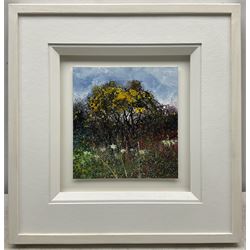 John Thornton (Northern British 1944-): Gorse, mixed media signed with initials, further signed verso 18cm x 17cm 