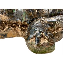 Galea Belinscaia (Yorkshire, Contemporary): Stoneware model of a baby alligator, with textured glaze finish, L56cm 