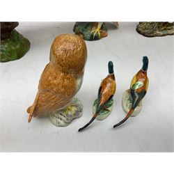 Six Beswick bird figures comprising large barn owl no.1046, small barn owl no.2026, woodpecker no.1218, pheasant no. 1226b and two small pheasants no.767a, tallest H22cm  