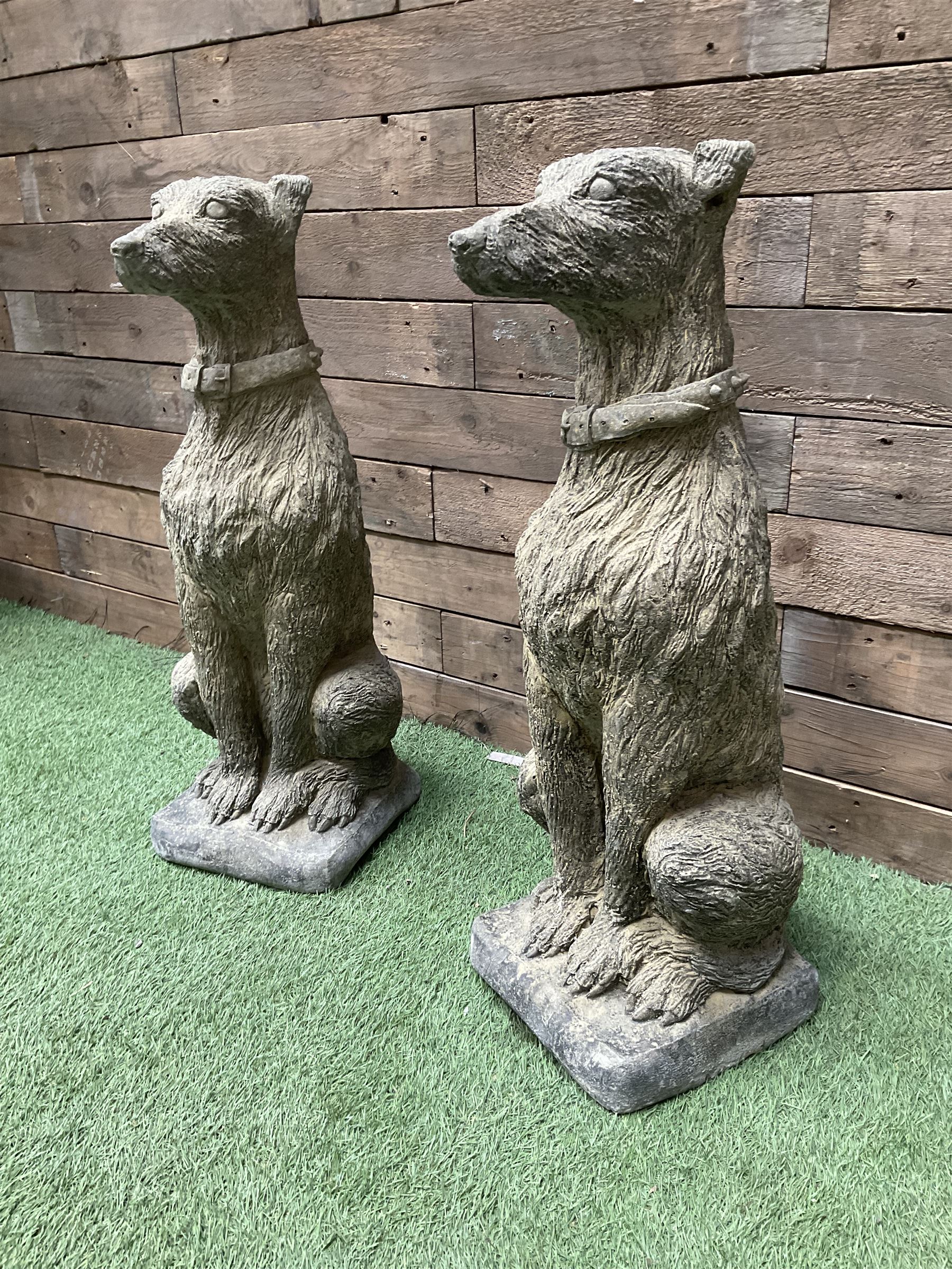 Pair of cast stone garden Deer Hounds, on square plinth bases