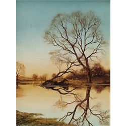 Neil Spilman (British 1951-): Tree Reflection, oil on board signed and dated '79, 19cm x 14cm