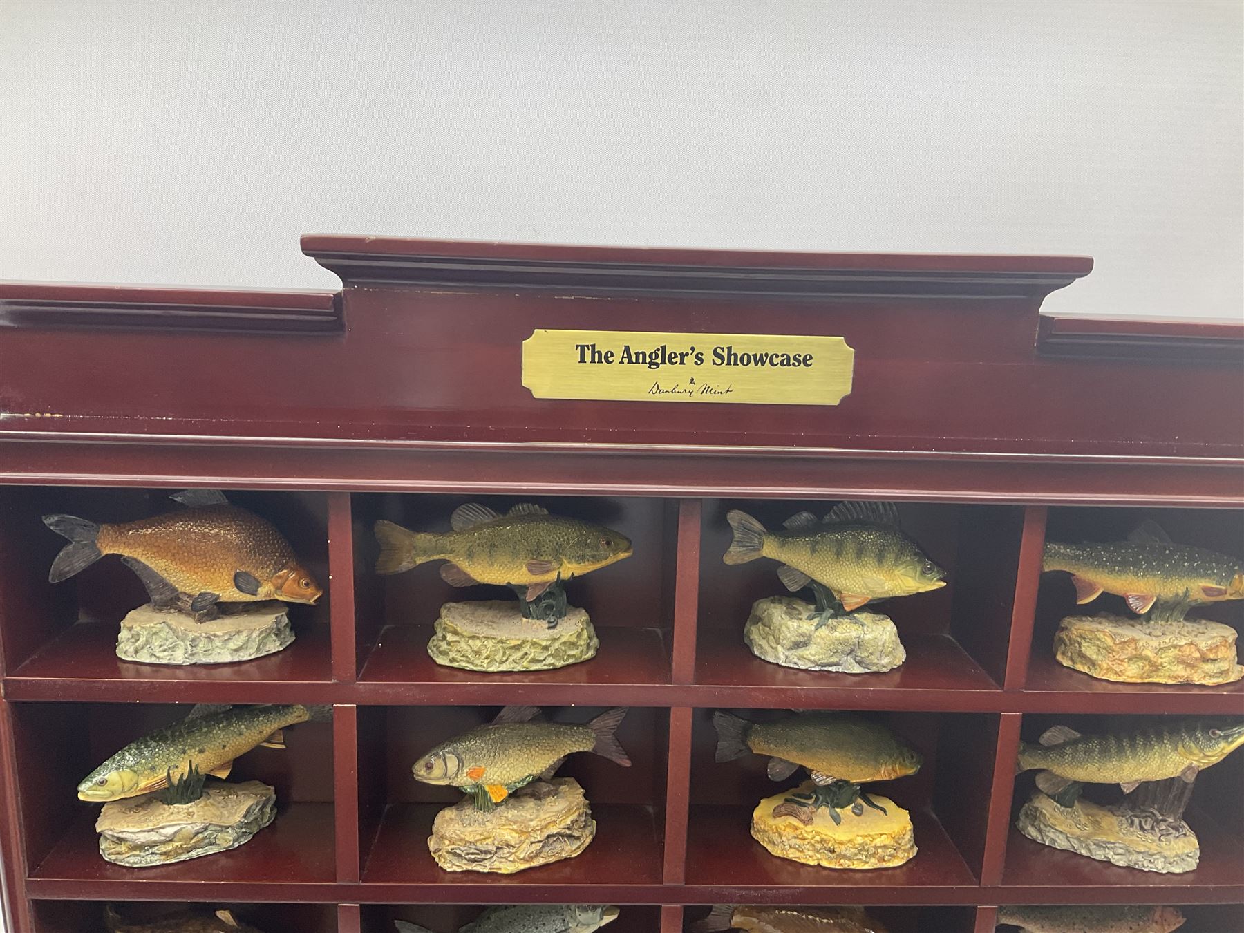 Twenty Four Danbury Mint models of fish, The Angler's Showcase, each with accompanying information card, in wooden wall mounted display shelf, with title plaque, display shelf H61cm L54cm